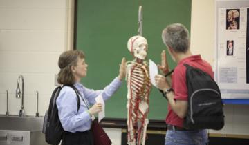 Two people chatting in front of a model skeleton 