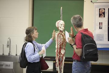 Two students looking at a skeleton in a classroom