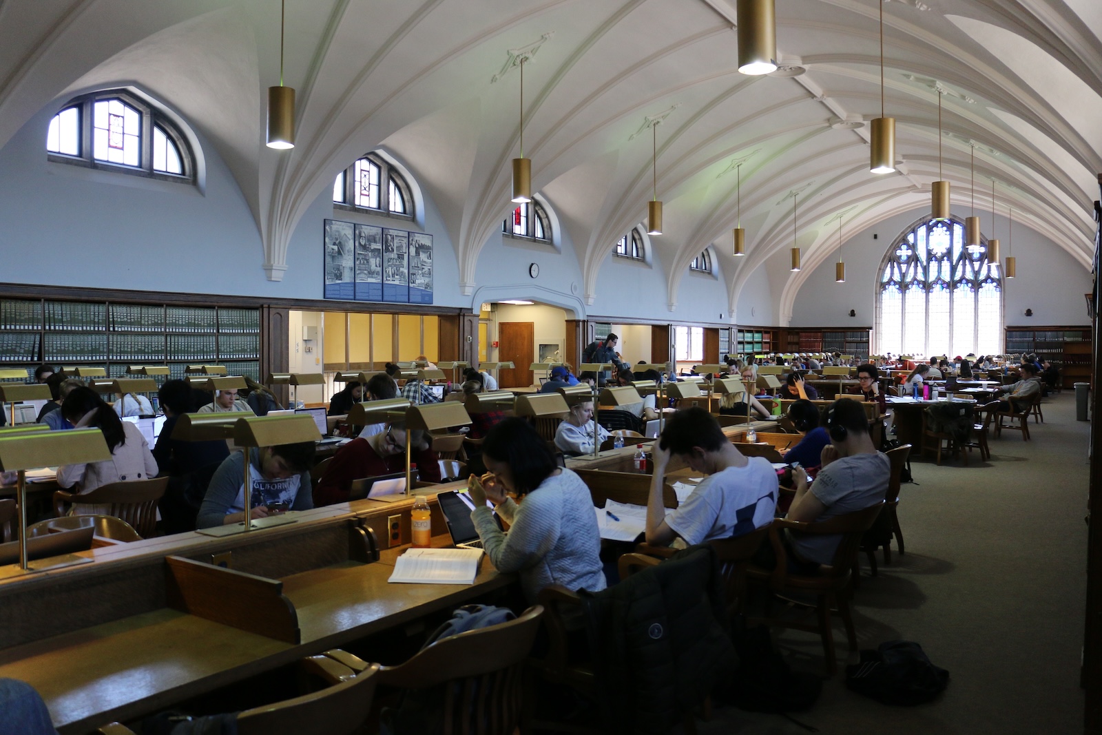 Students studying the the library