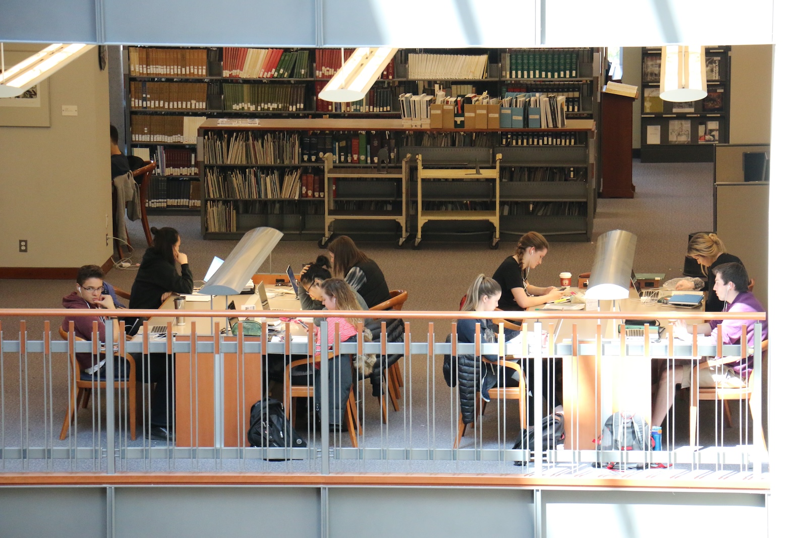 Students studying the the library