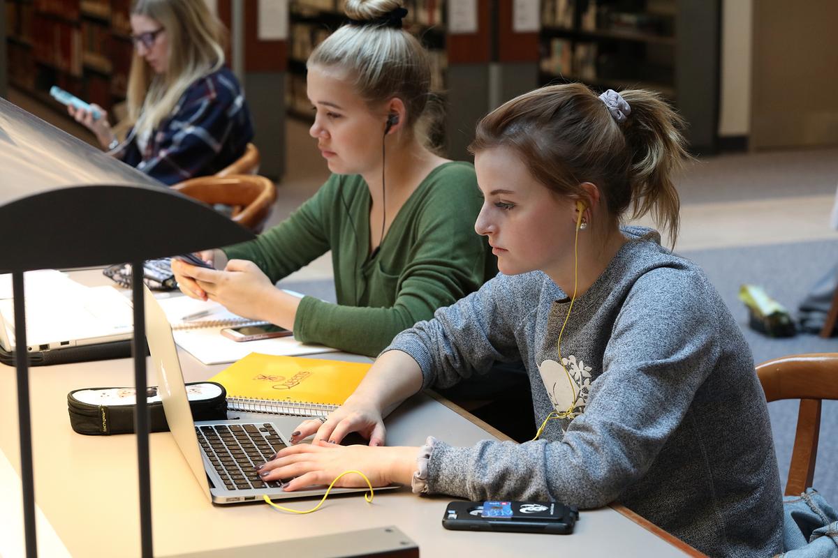 students working on laptops in the library 