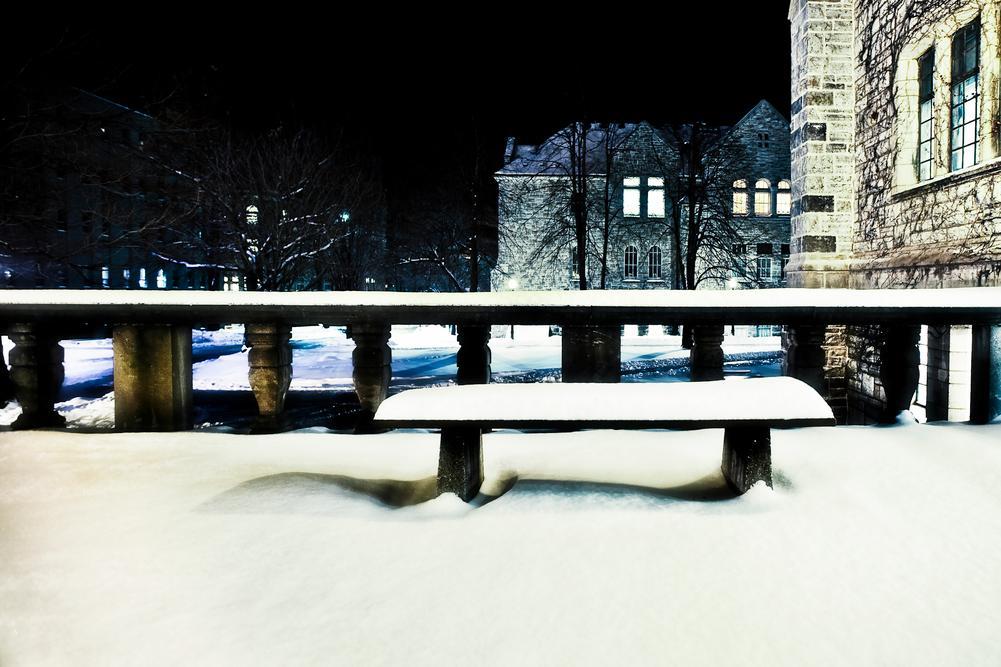 Snowy Douglas Library 