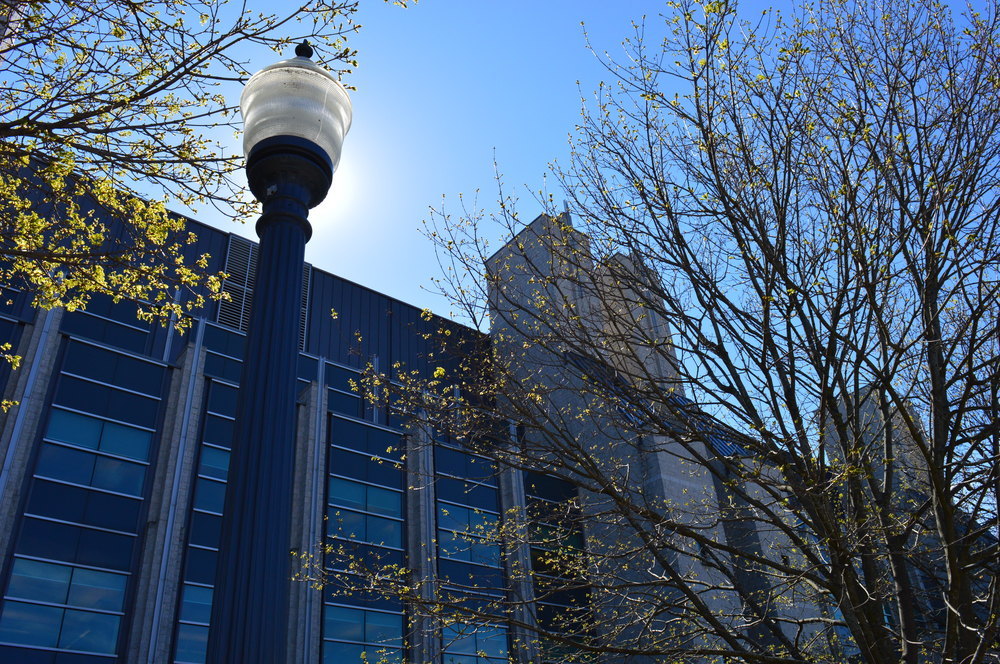 Stauffer in the SPRING