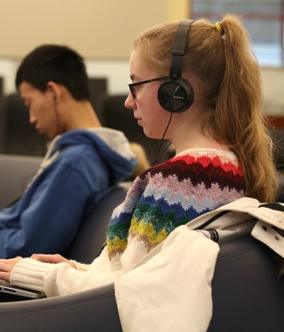 Students studying the the library