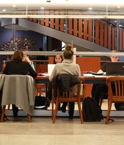 Students studying in library.