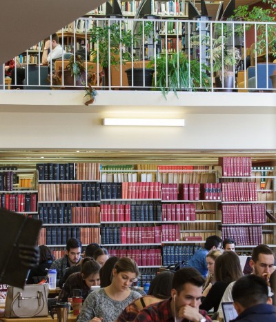 Many students studying in Lederman Library