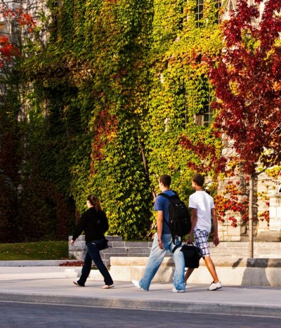 Outside Douglas library in autumn