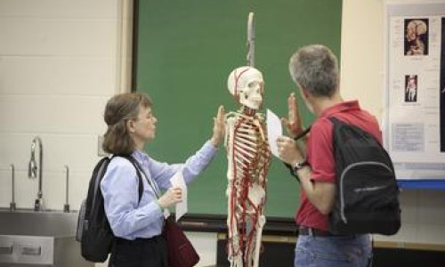 Two students looking at a skeleton in a classroom