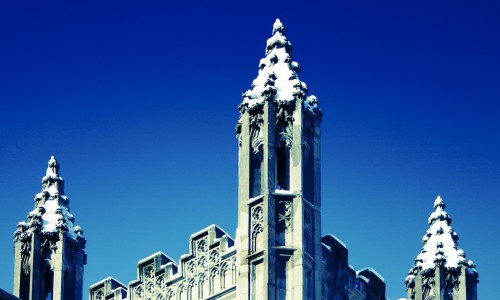 Douglas spires in winter