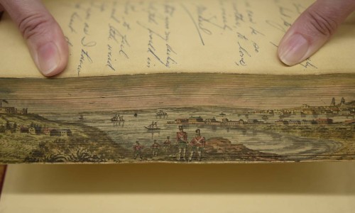 Vogelzang/Fore-edge Paintings Collection