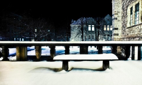 Snowy Douglas Library