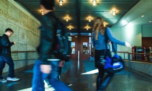 Students walking into Stauffer Library