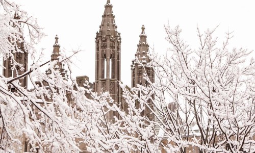snow-covered branches and Douglas Library