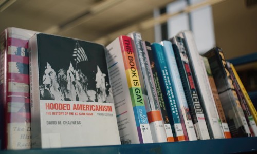 shelf of library books