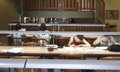 students studying in stauffer library